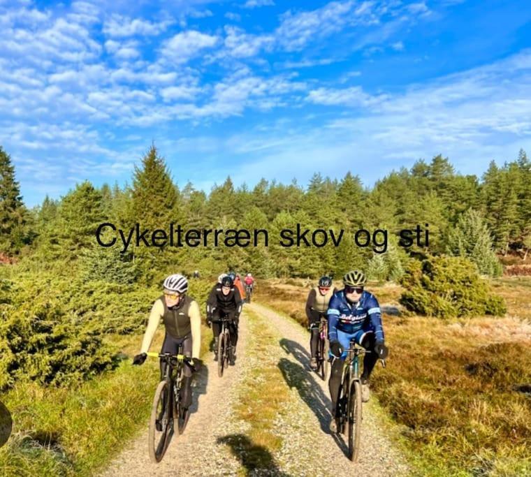 빌럼 Mindedalen - Idyl Taet Pa Alt Og Helt I Fred 아파트 외부 사진